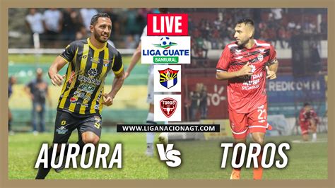 Aurora vs. Malacateco Head-to-Head: Clash of the Titans in Guatemalan Football