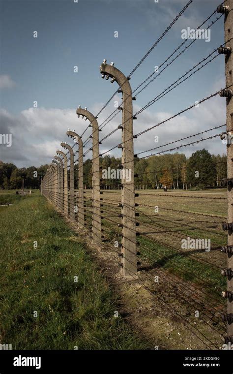 Auschwitz Barbed Wire Fence