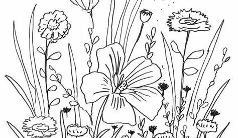 Ausmalbilder Blumenwiese Zum Ausdrucken | Blumen ausmalen, Malvorlagen