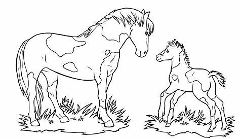 Ausmalbilder Pferde - Freude Kinder