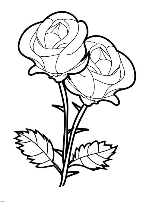 Rose Ausmalbilder. Drucken Sie die Blumenkönigin online