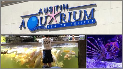 Austin Aquarium