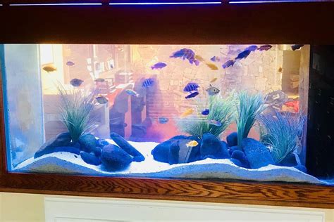 austin aquascapes llc