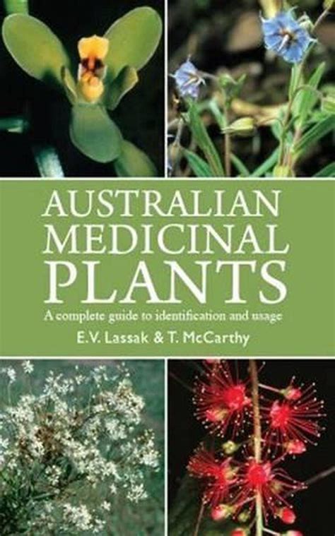 australian medicinal plants book