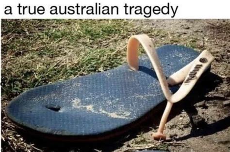 180+ Funny Australia Memes That are True Blue Gems Man of Many