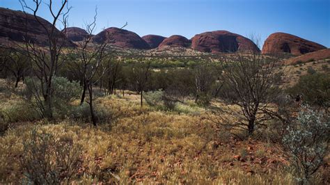 australian native landscapes locations