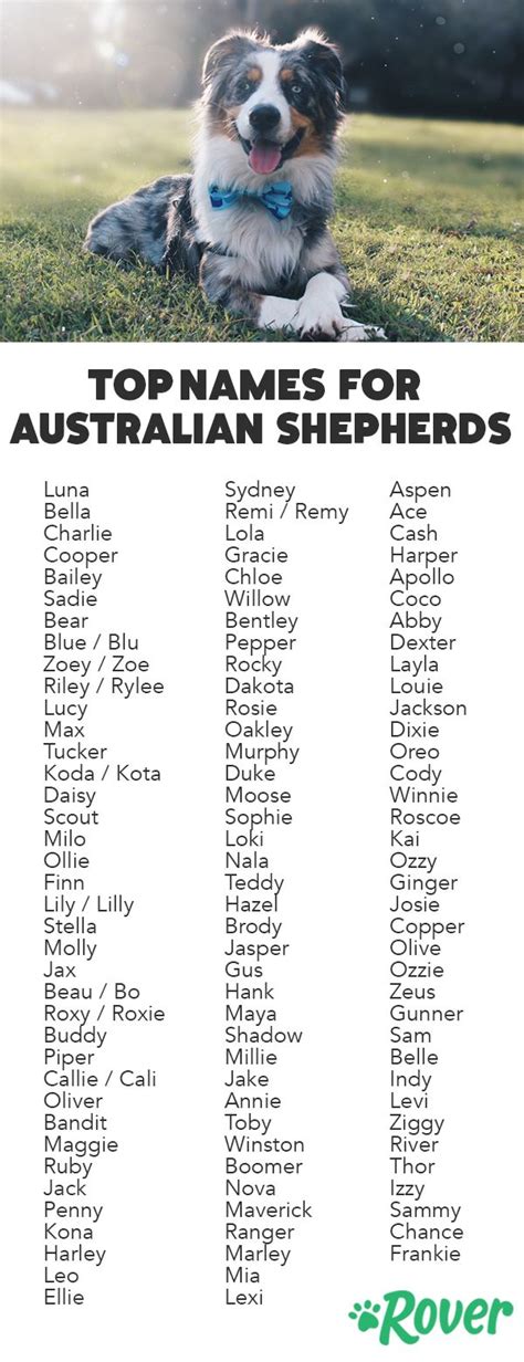 Australian Shepherd Male Dog Names