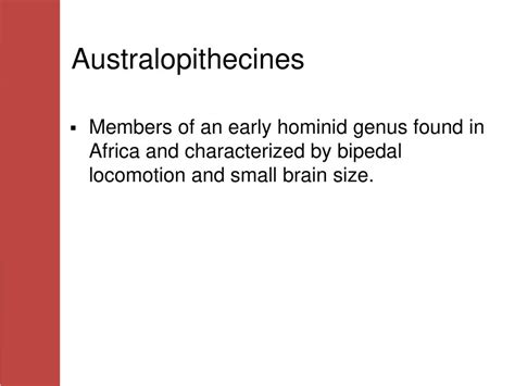australopithecines tripled in size