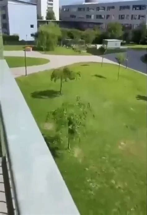 austria school attack