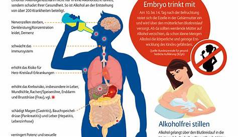 Die Wirkung von Alkohol auf den Körper - Alkozeron