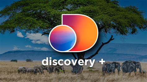 auth discovery plus reset password