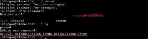 authentication token manipulation error