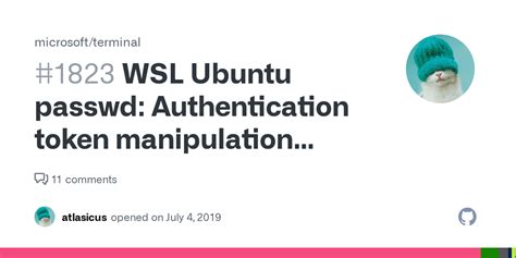 authentication token manipulation error wsl