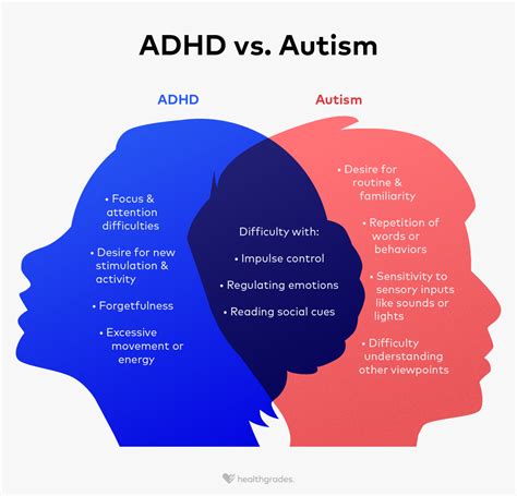 5 Autistic Myths