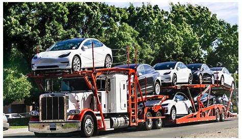 Top 25 Car Shipping Companies In 2024 - Compare Top Companies