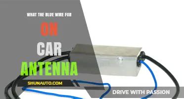 Auto Antenna Blue Wire
