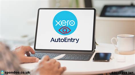 auto entry to xero