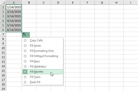 Auto Fill Formatting Excel