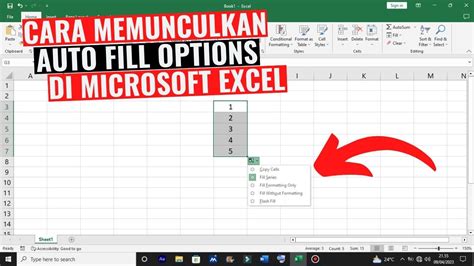 Auto Fill Options Button Missing Excel