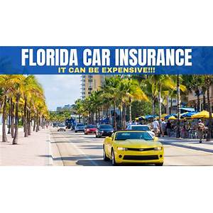 auto insurance in florida