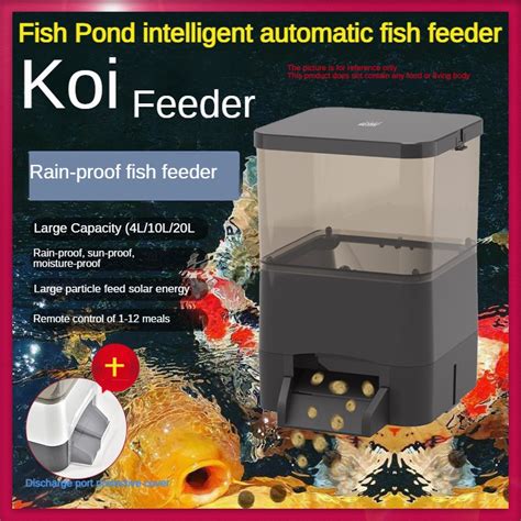 Auto Koi Fish Feeder