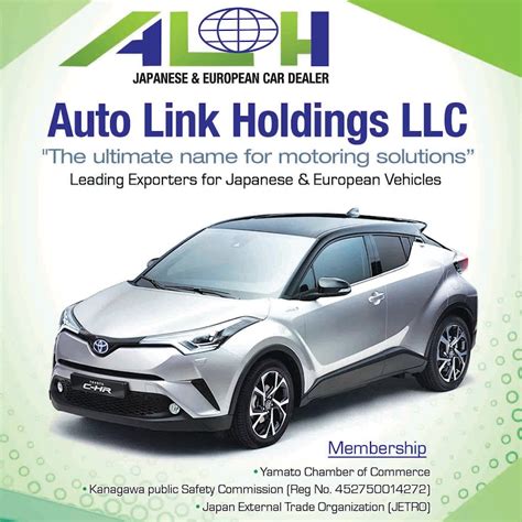 Auto Link Holdings