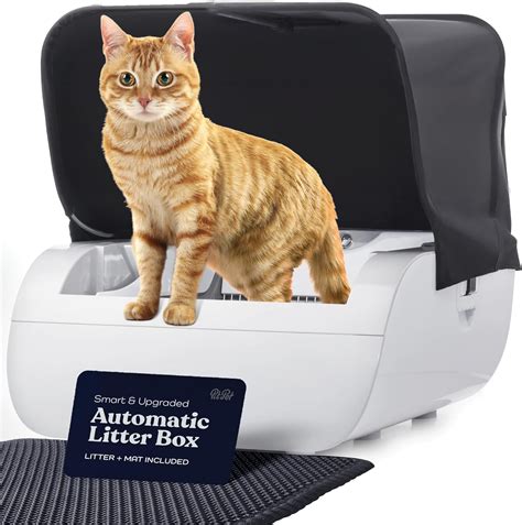 Auto Litter Box Amazon