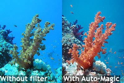 Auto Magic Filter Underwater