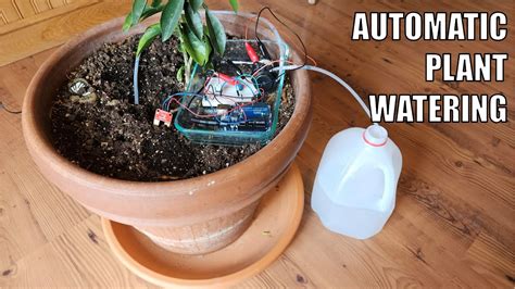 Auto Watering System Diy