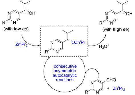 autocatalytic meaning in biology