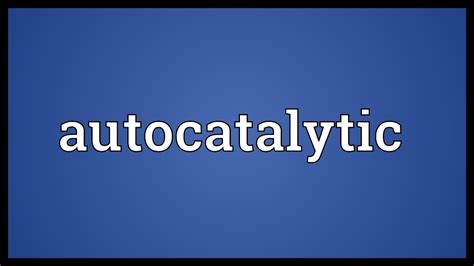 autocatalytic meaning in ecology