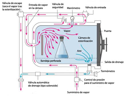 Autoclave Como Funciona