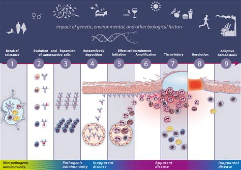 5 Ways Autoimmunity Affects You