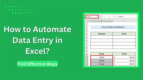 automated data entry excel