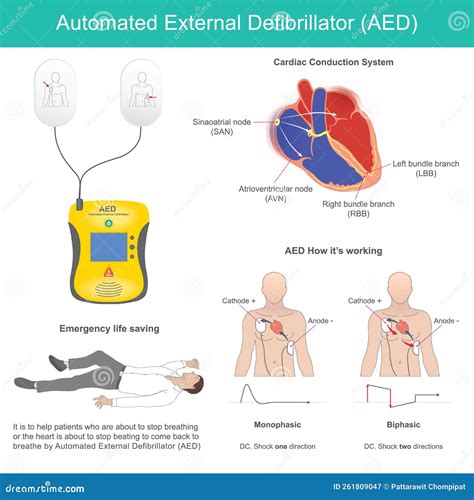 Automated External Defibrillator Function
