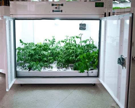 automated grow system canada