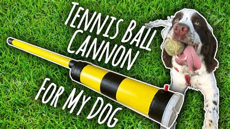 Automatic Ball Thrower For Dogs Diy