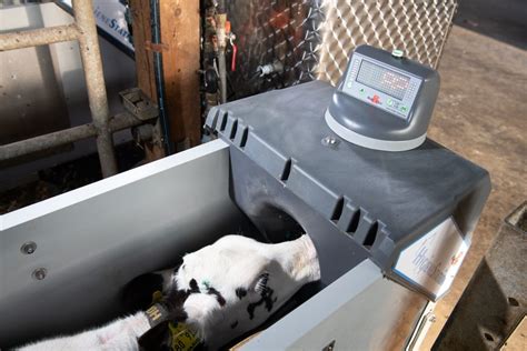 Automatic Calf Feeders