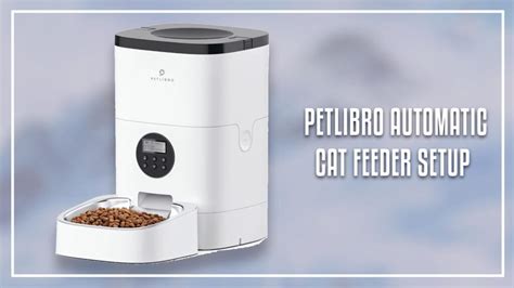 Automatic Cat Feeder Build