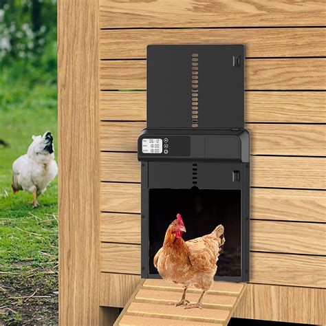 Automatic Chicken Door With Timer