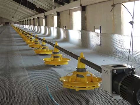 Automatic Chicken Feeder System Using Microcontroller