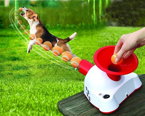 Automatic Dog Fetching Machine