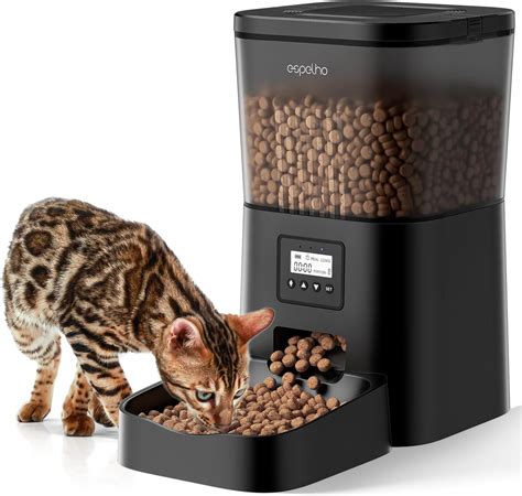 Automatic Feeder For Cat
