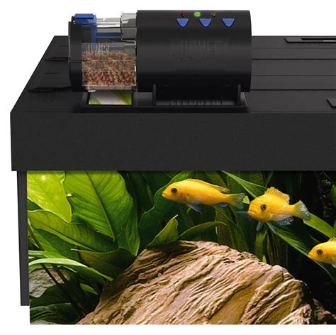 Automatic Feeder for Clownfish