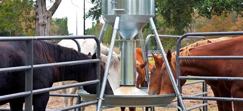 Automatic Feeder Horse