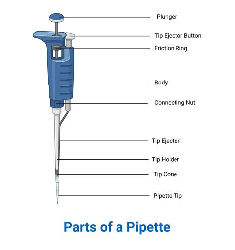 Automatic Pipette Parts And Functions