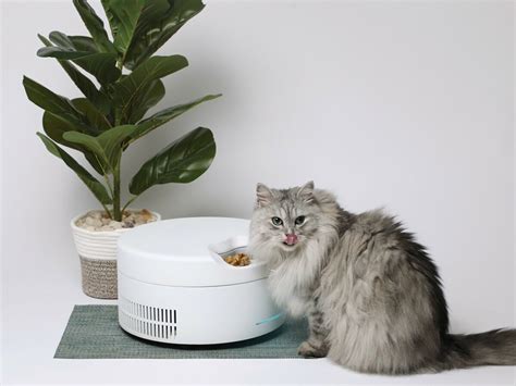 Automatic Refrigerated Cat Feeder