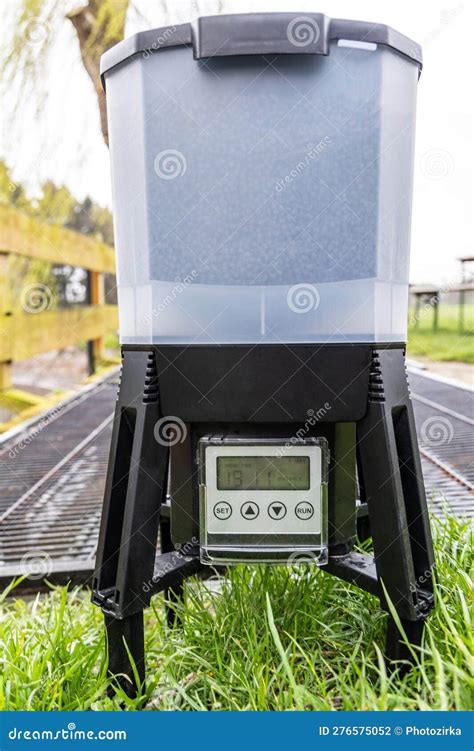 Automatic Trout Feeder