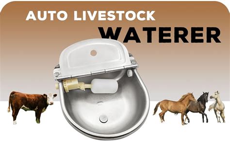 Automatic Water Tank For Cattle