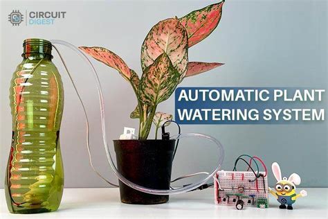 Automatic Watering System Diy